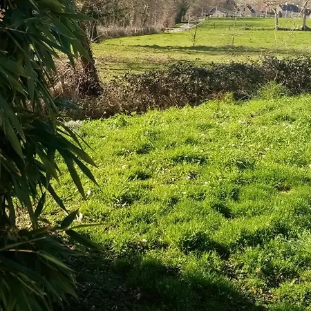 La Campagne Au Bord De La Mer,