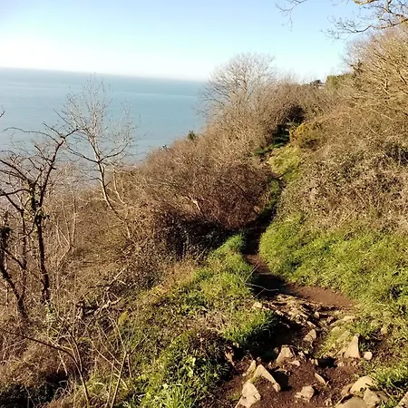La Campagne Au Bord De La Mer, *