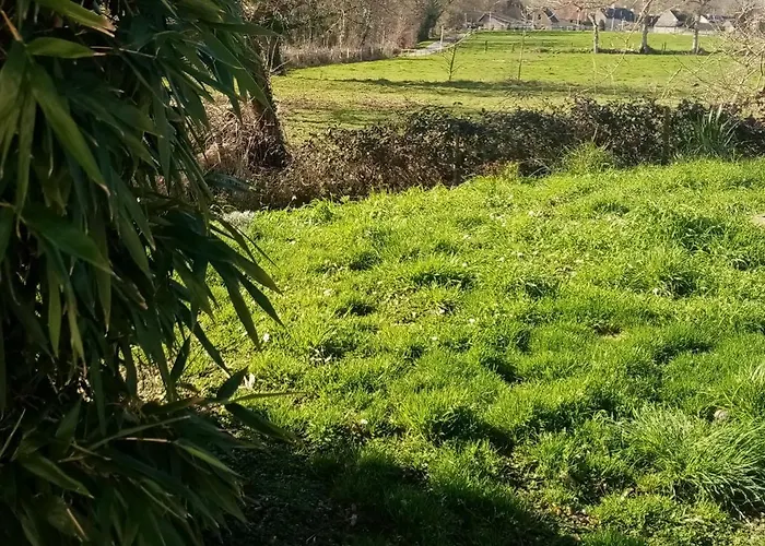 La Campagne Au Bord De La Mer,