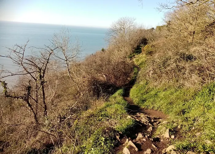 La Campagne Au Bord De La Mer, *